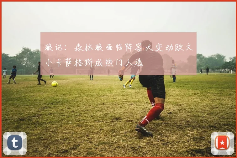 狼记：森林狼面临阵容大变动欧文小卡萨格斯成热门人选